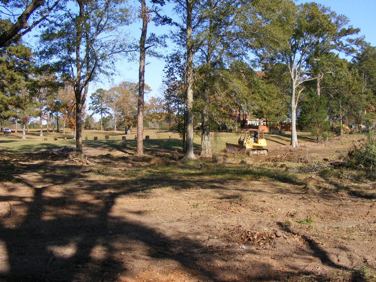 GreatMSTea's tweet image. FLASHBACK WEEK - Taking  stroll down memory lane all week. Let's share one from the beginning. November 2012. This was the day we began clearing the brush to make way for the beautiful tea plants you see today. The farm used to be a cattle farm.
#FlashbackWeek #TeaFarm #USA