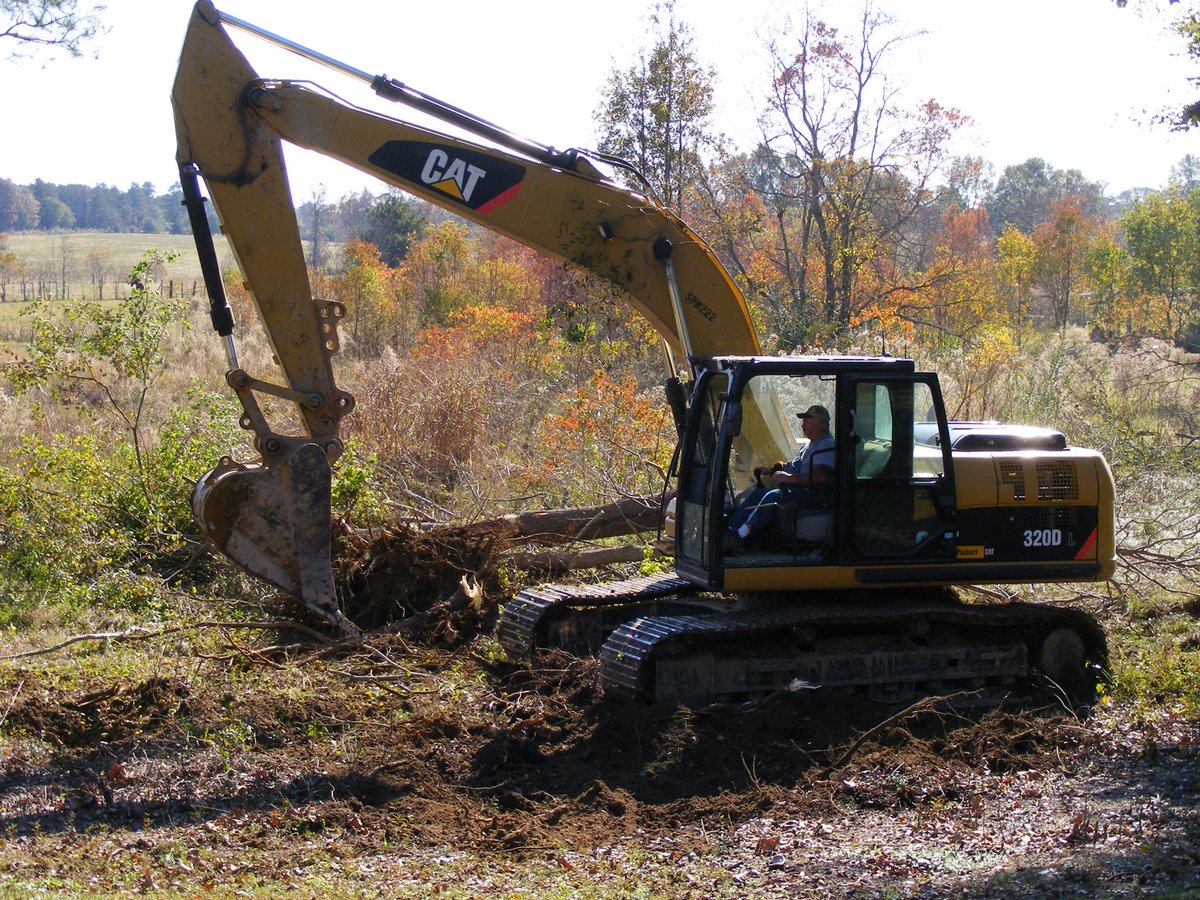 GreatMSTea's tweet image. FLASHBACK WEEK - Taking  stroll down memory lane all week. Let's share one from the beginning. November 2012. This was the day we began clearing the brush to make way for the beautiful tea plants you see today. The farm used to be a cattle farm.
#FlashbackWeek #TeaFarm #USA
