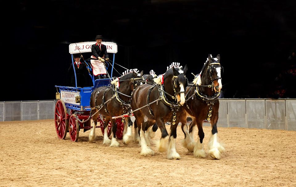 Shire Horse Society (@saveourshires) on Twitter photo We are happy to announce that <a href="/Realtimeimaging/">Steve Dawe</a> will once again be with us for our National Show 8-10 March at Staffordshire Showground. Find them on the ground floor near the grandstand entrance where you can buy your photos. For info visit realtimeimaging.co.uk We are happy to announce that <a href="/Realtimeimaging/">Steve Dawe</a> will once again be with us for our National Show 8-10 March at Staffordshire Showground. Find them on the ground floor near the grandstand entrance where you can buy your photos. For info visit realtimeimaging.co.uk
