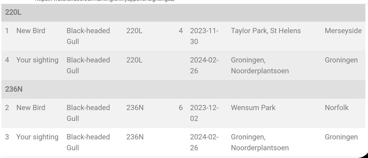 Vanmiddag in het Noorderplantsoen in Groningen opeens 2 in Engeland gekleurringde Kokmeeuwen. Dit is een teken dat de voorjaarstrek flink op gang komt. Beide vogels waren erg mak. Beide waren in een park geringd. @Sovon, @vogelnieuws. x.com/waterbirdcm/st…