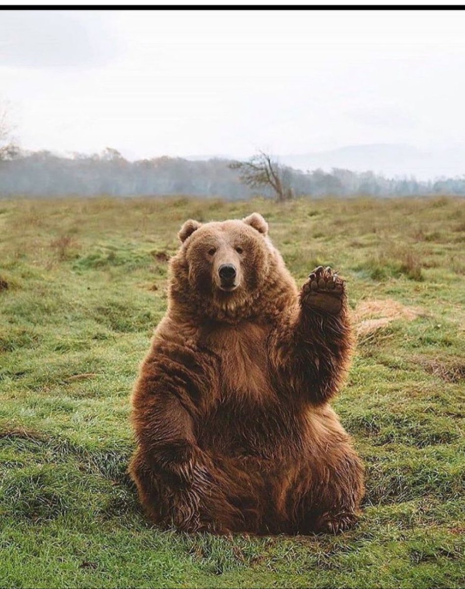 Ben                                 Aşık olduğum adam 
                                               Kişisi