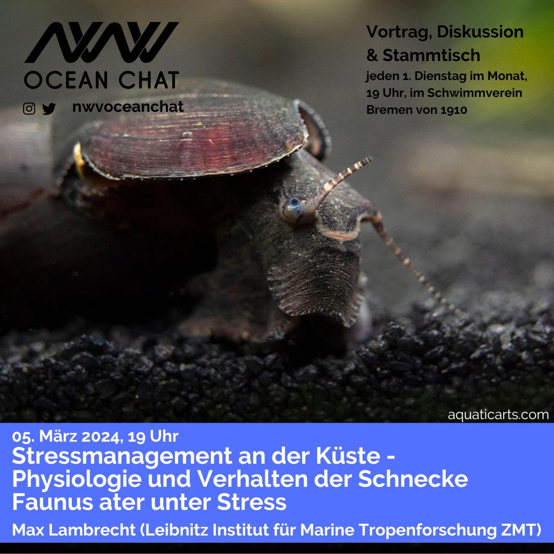 Am 5.3. spricht Max Lambrecht (<a href="/LeibnizZMT/">Leibniz Centre for Tropical Marine Research (ZMT)</a>, <a href="/unihh/">Universität Hamburg</a>) über die Schnecke Faunus ater und Stressmanagement an der Küste! Kommt also gerne zahlreich vorbei, denn trotz Semesterferien, wird hier was geboten :)))! Wir freuen uns auf euch!
Bild: aquaticarts.com
