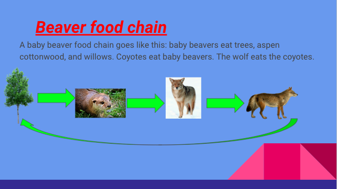 BPSHawks3 tweet media