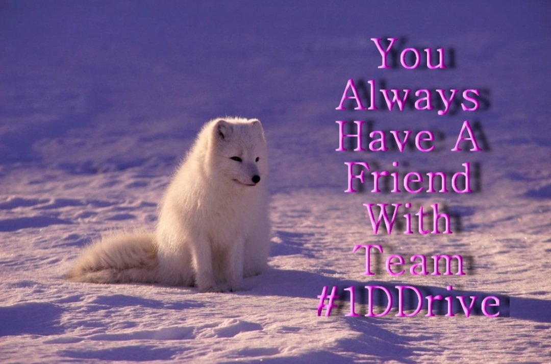 BlueA125 (@bluea125) on Twitter photo #1DDRIVE 
<a href="/HARRYS1DEMPIRE/">TAHNEE 👑🇲🇽🇺🇸</a>
<a href="/Siogo61/">@siogo61</a>
<a href="/JIMENAC__/">🌸JimenaC__🌸</a>
<a href="/Saori__M/">ღƪ(ˆ◡ˆ)ʃ♡ℳДƦîƝ இ️ ♡</a>
<a href="/zaizul_abidin/">𝓚𝓾𝓵𝓲 𝓓𝓪𝓹𝓾𝓻 👨🍳</a>
<a href="/Mechis_M/">🥀𑜞᭄ ❤️🔥ℳariղ❤️🔥🥀𑜞᭄</a> <a href="/Aluddin19/">Aluddin19</a>
<a href="/Leonina_0108/">Dárcida Soto</a>
<a href="/R3_Adv/">JarodKOPI🇮🇩</a> <a href="/lumpie125/">lumpie125</a>
<a href="/MarthaCandia21/">🌼MARTHA CAN🌼</a>
<a href="/MarEthr/">👉 Mark 28K 😜👇</a>
<a href="/tnmuda/">Tn Muda</a>
<a href="/BrettMGWV2/">Brett</a>
<a href="/eReferenceDesk/">#eReferenceDesk☞ Joe</a>
<a href="/AbidinBoryta/">🕋𝓐𝓫𝓲𝓭𝓲𝓷 𝓑𝓸𝓻𝔂𝓽𝓪 🇮🇩</a>
<a href="/Tina1Queen/">Tina</a>
<a href="/jlferguson50/">Joe ☞#eReferenceDesk</a> <a href="/bluea125/">BlueA125</a>
<a href="/BrettMGWV/">brett</a>
<a href="/ginaaaaa24/">SuperGina♥️💚♥️</a> <a href="/ginestarros/">SuperGina♥️💚♥️</a> #1DDRIVE 
<a href="/HARRYS1DEMPIRE/">TAHNEE 👑🇲🇽🇺🇸</a>
<a href="/Siogo61/">@siogo61</a>
<a href="/JIMENAC__/">🌸JimenaC__🌸</a>
<a href="/Saori__M/">ღƪ(ˆ◡ˆ)ʃ♡ℳДƦîƝ இ️ ♡</a>
<a href="/zaizul_abidin/">𝓚𝓾𝓵𝓲 𝓓𝓪𝓹𝓾𝓻 👨🍳</a>
<a href="/Mechis_M/">🥀𑜞᭄ ❤️🔥ℳariղ❤️🔥🥀𑜞᭄</a> <a href="/Aluddin19/">Aluddin19</a>
<a href="/Leonina_0108/">Dárcida Soto</a>
<a href="/R3_Adv/">JarodKOPI🇮🇩</a> <a href="/lumpie125/">lumpie125</a>
<a href="/MarthaCandia21/">🌼MARTHA CAN🌼</a>
<a href="/MarEthr/">👉 Mark 28K 😜👇</a>
<a href="/tnmuda/">Tn Muda</a>
<a href="/BrettMGWV2/">Brett</a>
<a href="/eReferenceDesk/">#eReferenceDesk☞ Joe</a>
<a href="/AbidinBoryta/">🕋𝓐𝓫𝓲𝓭𝓲𝓷 𝓑𝓸𝓻𝔂𝓽𝓪 🇮🇩</a>
<a href="/Tina1Queen/">Tina</a>
<a href="/jlferguson50/">Joe ☞#eReferenceDesk</a> <a href="/bluea125/">BlueA125</a>
<a href="/BrettMGWV/">brett</a>
<a href="/ginaaaaa24/">SuperGina♥️💚♥️</a> <a href="/ginestarros/">SuperGina♥️💚♥️</a>