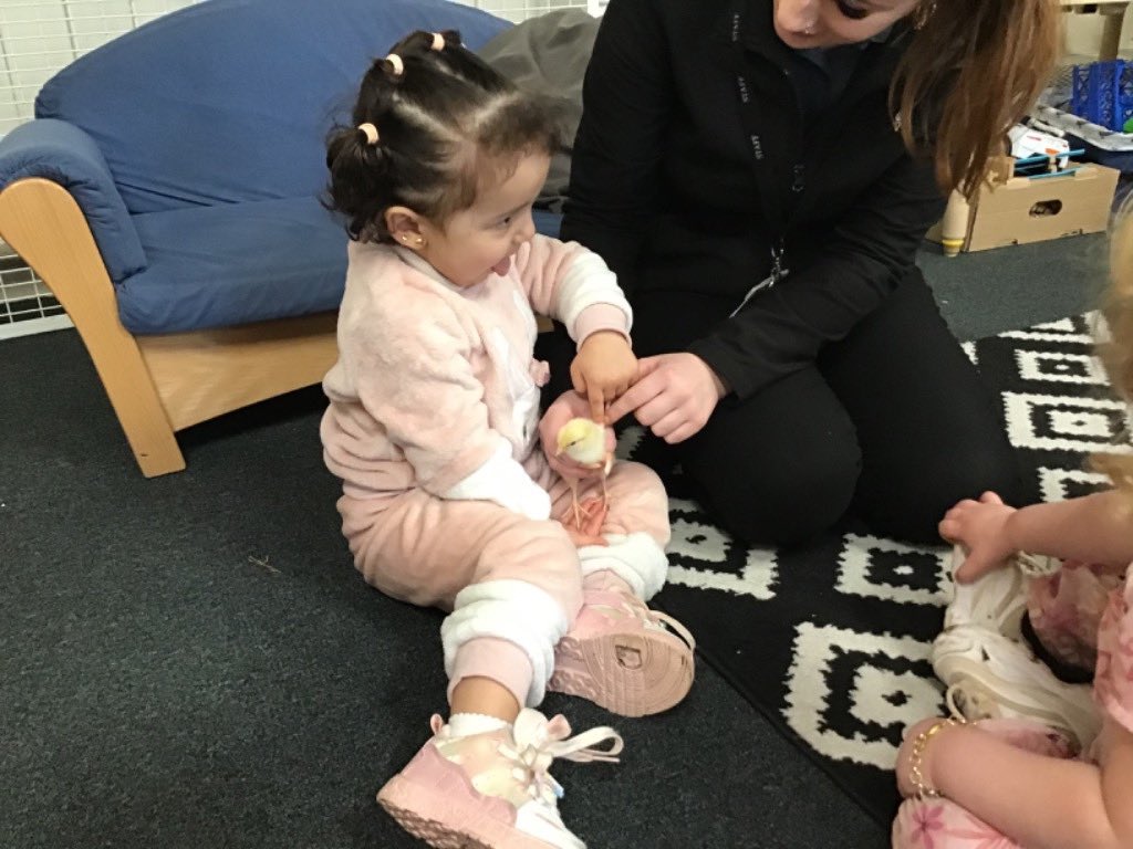 We’ve had a very exciting day holding and stroking our baby chicks 🐣 the children have all taken great care of the chicks and know to use gentle hands! #EarlyYears #Chicks #KindHands