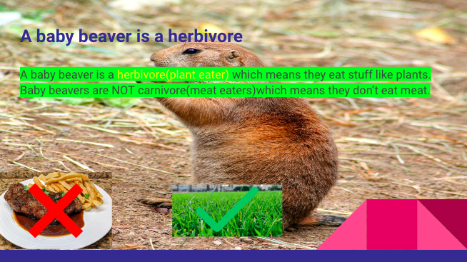 BPSHawks3 tweet media