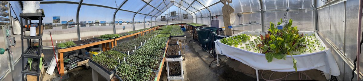 Had a chance to check out the aquaponics setup at Fishers AgriPark. The system was paid for through a grant given to the @hsefoundation by @DukeEnergy