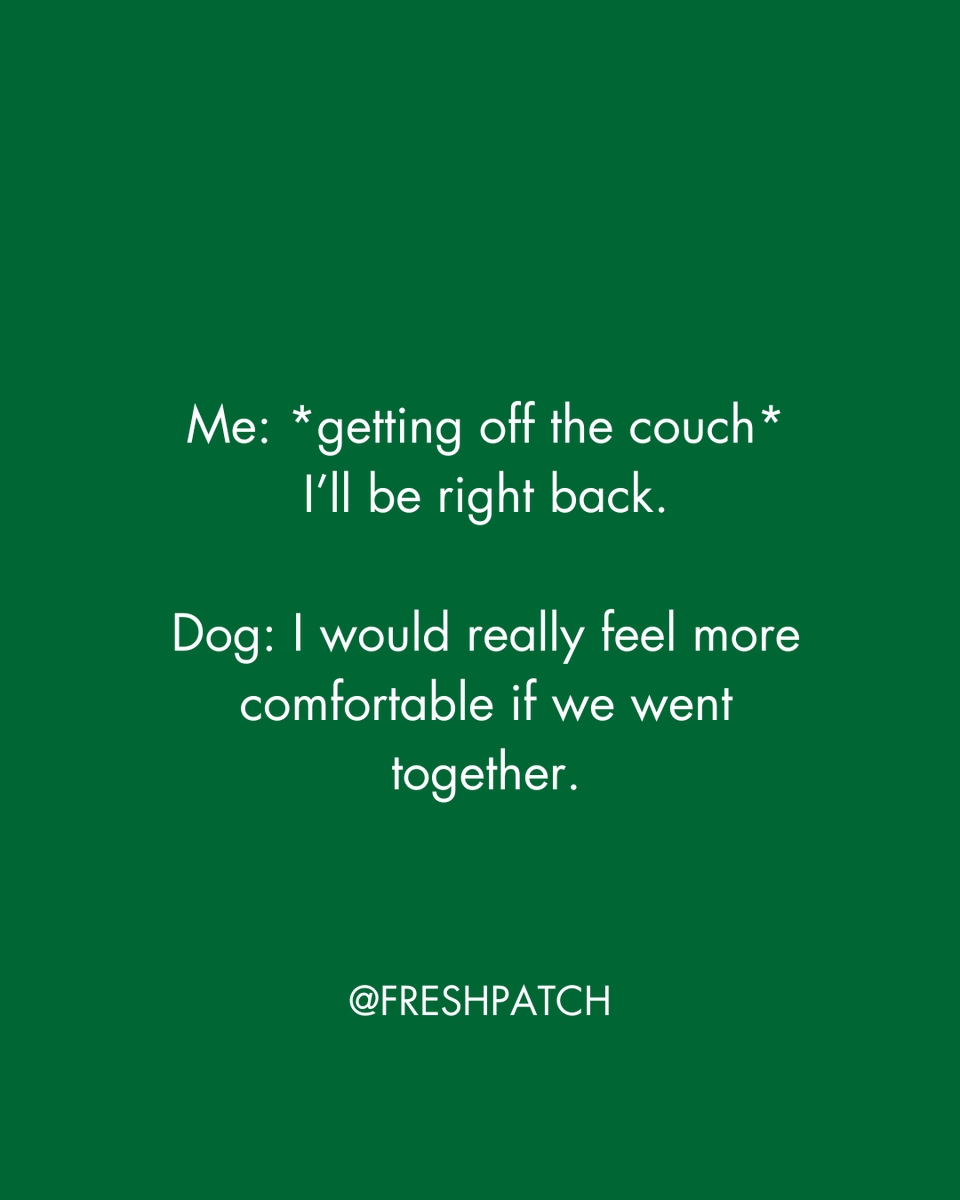 FreshPatch's tweet image. Either way I'm going to follow you 🐶😂⁠ 

#doglovers #dogownerproblems #lifewithadog
