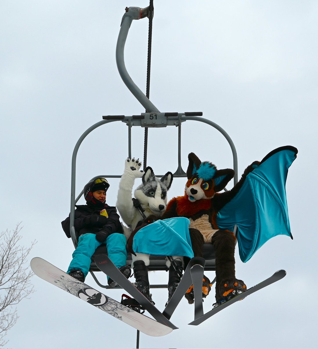 FycusBat's tweet image. Bats can really fly!!
📷 @EnnexxxTheFox