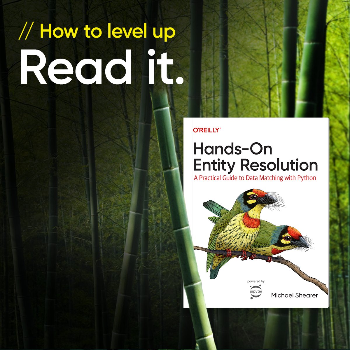 Author @mwshear shows you how to scale up your data matching processes and improve the accuracy of your reconciliations. Using real-world data examples, this book helps you gain practical understanding to accelerate the delivery of real business value. oreil.ly/rPLcE