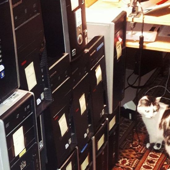 Viens sacrifier des ordis sur l'autel du patriarcat dans notre atelier Archéologie des ordinateurs, au @villettemakerz le dimanche 3 mars ! 

Ambiance safe, questions stupides et blagues incluses. Chat non contractuel.
Résas : buff.ly/3SOysy6 
#queerTech #MakeHerFest 🖥️