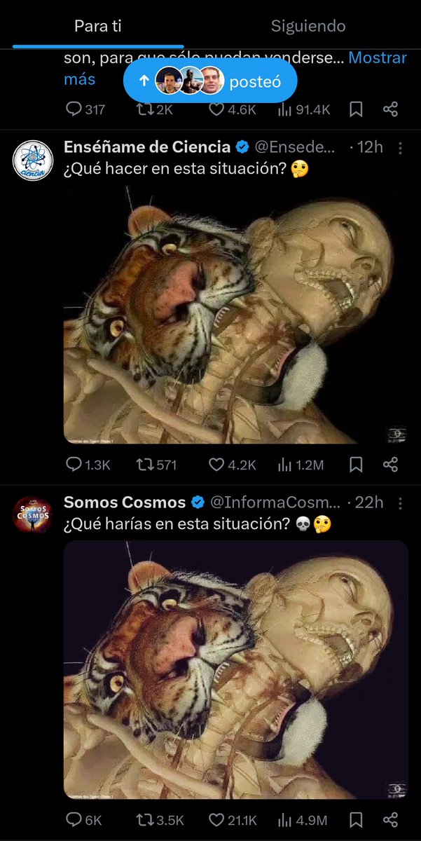 necro_gen's tweet photo. Contenido original https://t.co/IxeIxzGKyS