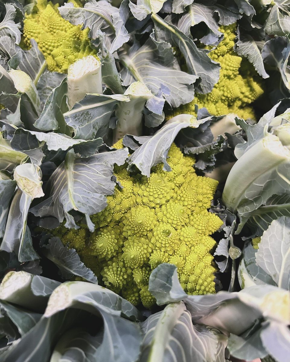 Though it looks more like cauliflower in texture and form, romanesco's taste is more like broccoli – mild and nutty with sweeter notes