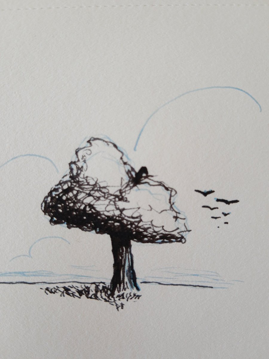 S____elwin's tweet photo. at the turning
of the season
the birds set out
for the lonely horizon

#vss365 #bird #poem #art #drawing https://t.co/2J2BMfUGPV