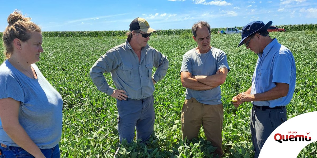 Estuvimos en Uriburu recorriendo lotes de soja junto a Andrés Corro Molas.

Continuamos con nuestro Plan de Protección Integral Soja ofreciendo el servicio de manejo técnico para tu cultivo.

¡Consultanos!