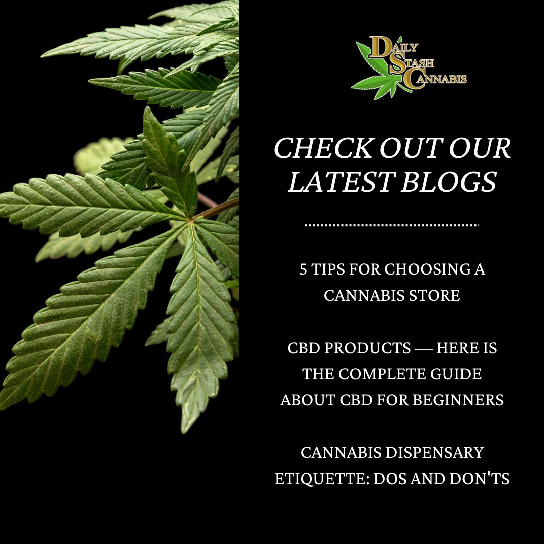 Visit our website dailystashcannabis.com/blogs/williams… to read our latest 3 blogs.

#CannabisDispensary #CBDProducts #CannabisStore #PreRolls #InfusedDrinks #CBDOils #THCOils #Capsules #LiveRosin #DistillatePens