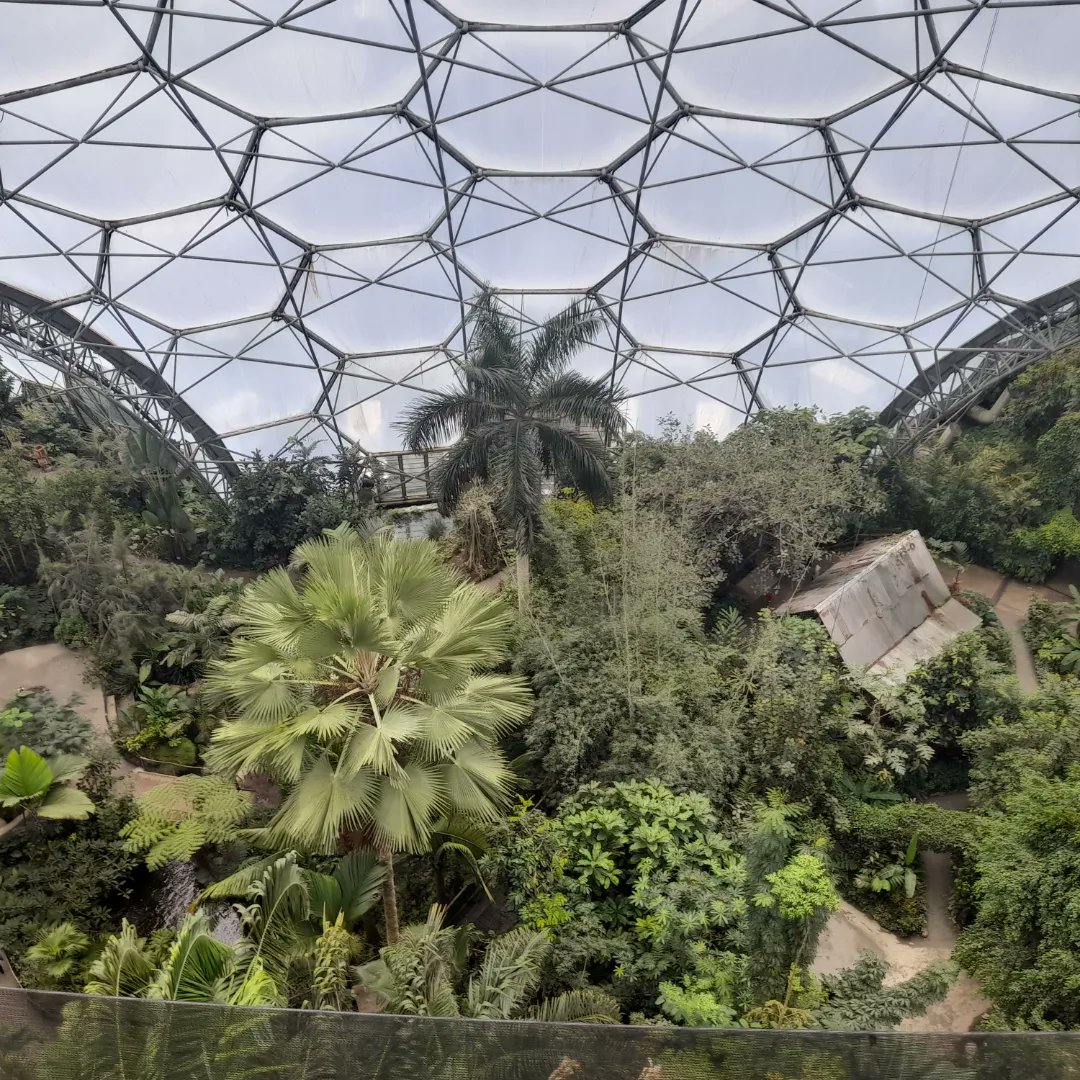 HallidayLou's tweet photo. We escaped farm for a couple of hours on Sunday and headed to the rainforest biome at @EdenProject.
Super views from the lookout at the top. Yes it was still raining, but quite atmospheric from inside.
#edenproject #Cornwall #family #weekend #plants #nature #rainforest #trees https://t.co/kQVuuA7vLy