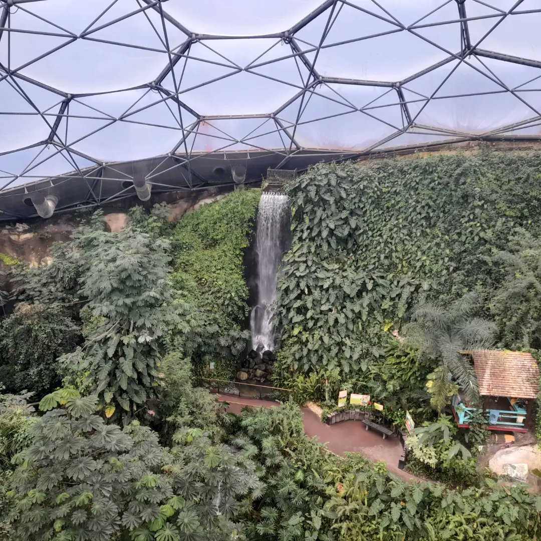 HallidayLou's tweet photo. We escaped farm for a couple of hours on Sunday and headed to the rainforest biome at @EdenProject.
Super views from the lookout at the top. Yes it was still raining, but quite atmospheric from inside.
#edenproject #Cornwall #family #weekend #plants #nature #rainforest #trees https://t.co/kQVuuA7vLy