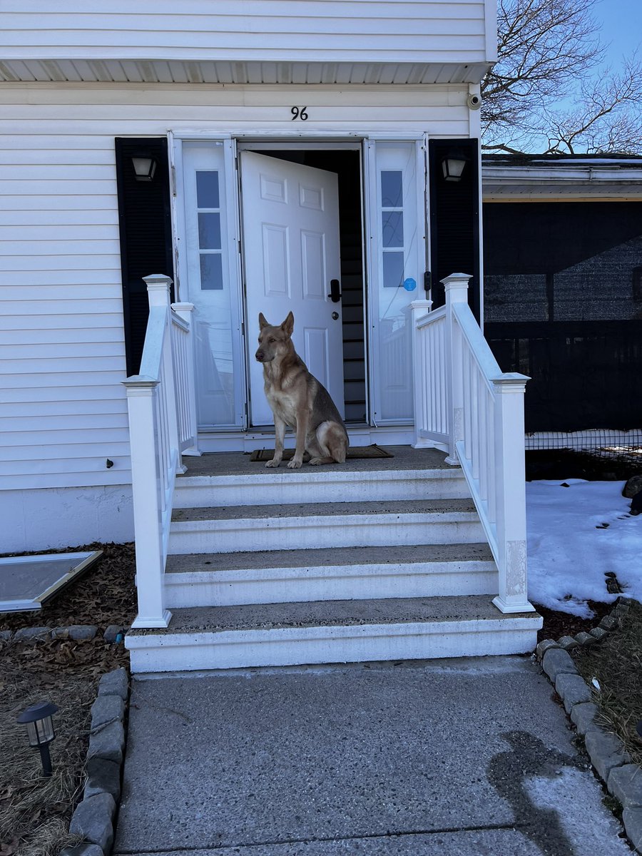 deirioss's tweet photo. Logan me hace acordar tanto de mi infancia, de mi primer perrito Ricki, que me genera una seguridad ❤️🥰 https://t.co/AOmDW23Fcd