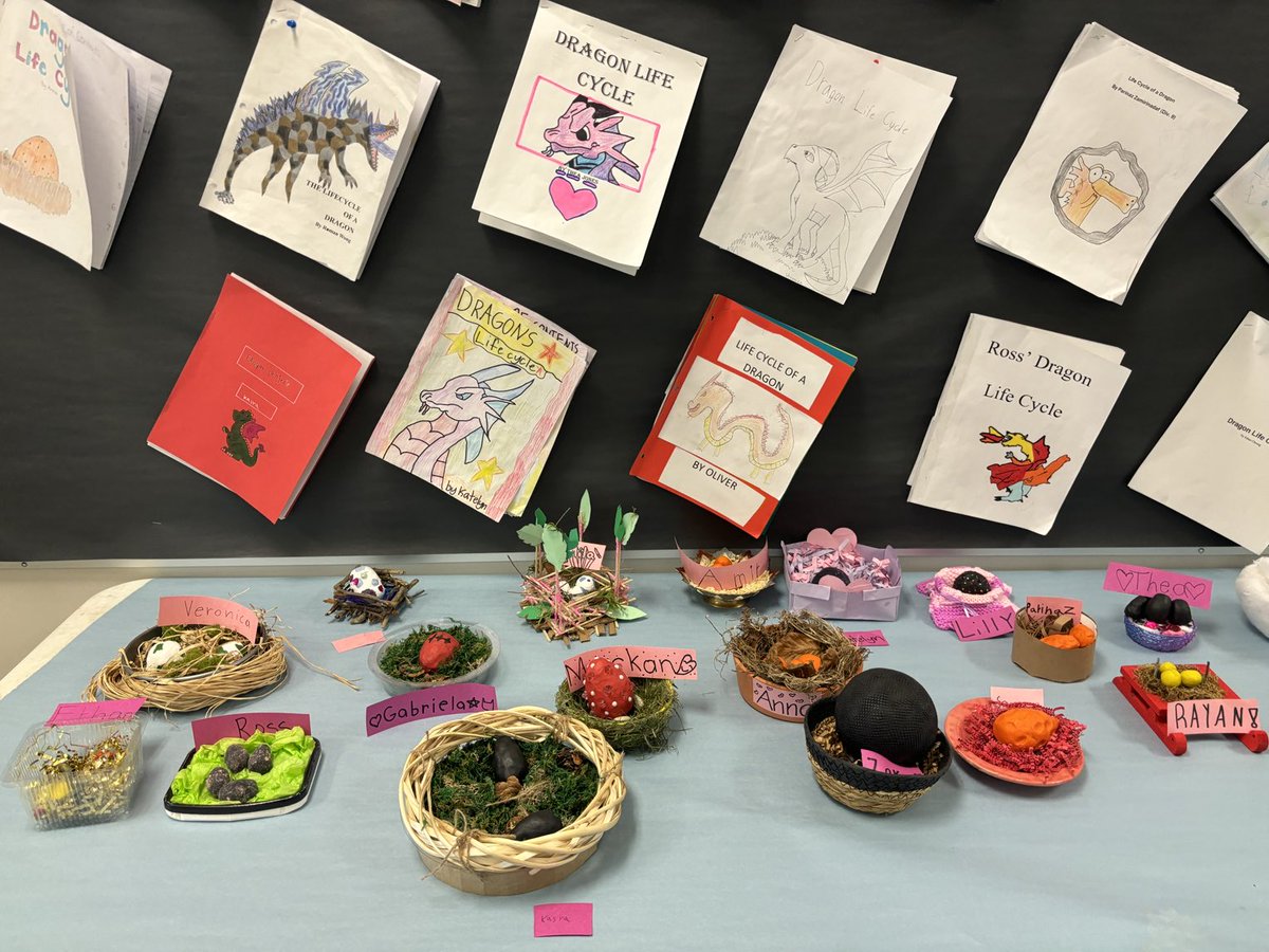 MariaMeperez12's tweet photo. Did you know that dragon eggs might look like these? ⁦@gilmoreSD41⁩ https://t.co/x5s65eB33N