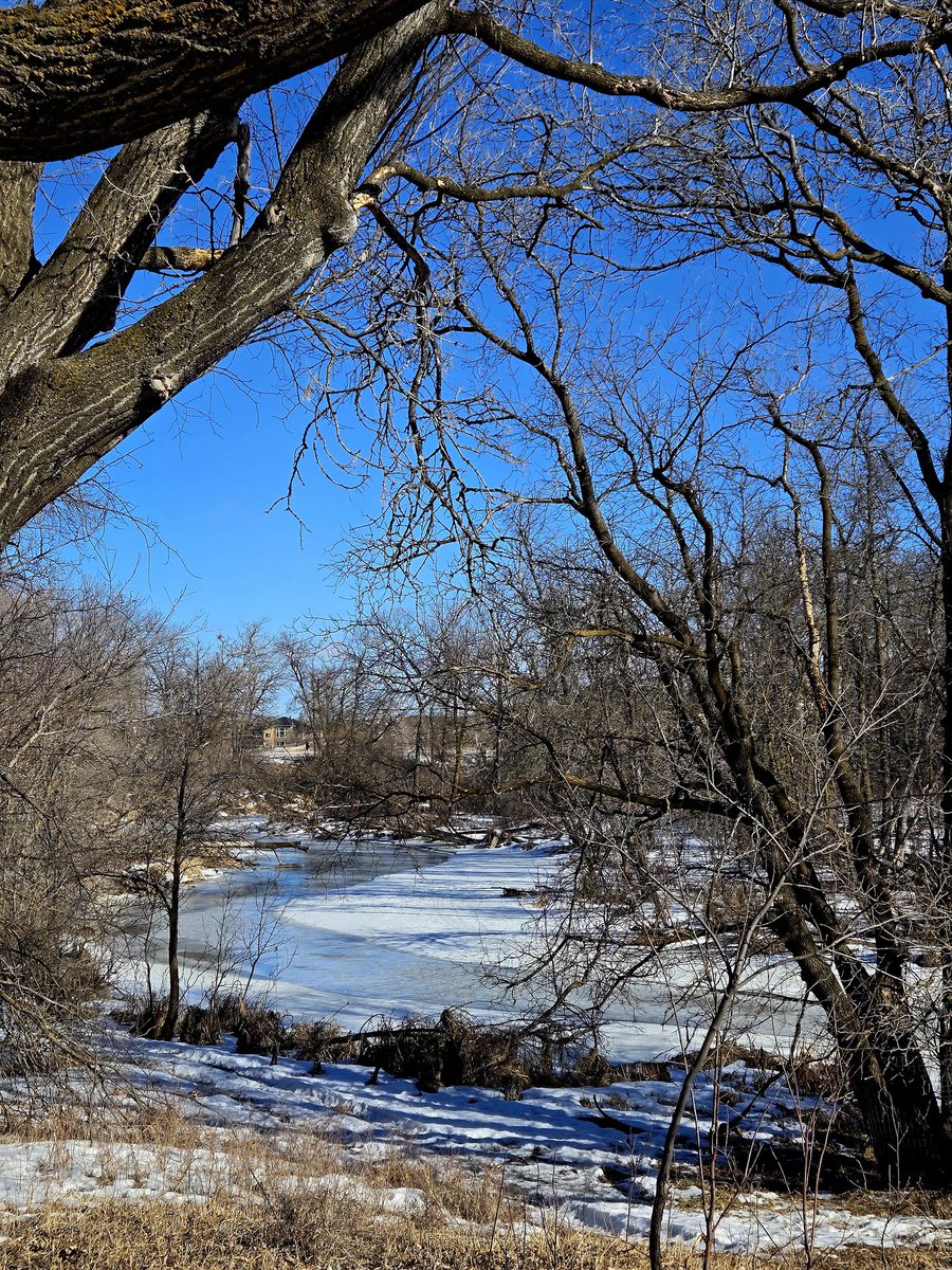 Seine River. Winnipeg #Manitoba Canada /
Sunday, February 25, 2024.
<a href="/SaveOurSeine/">Save Our Seine</a>