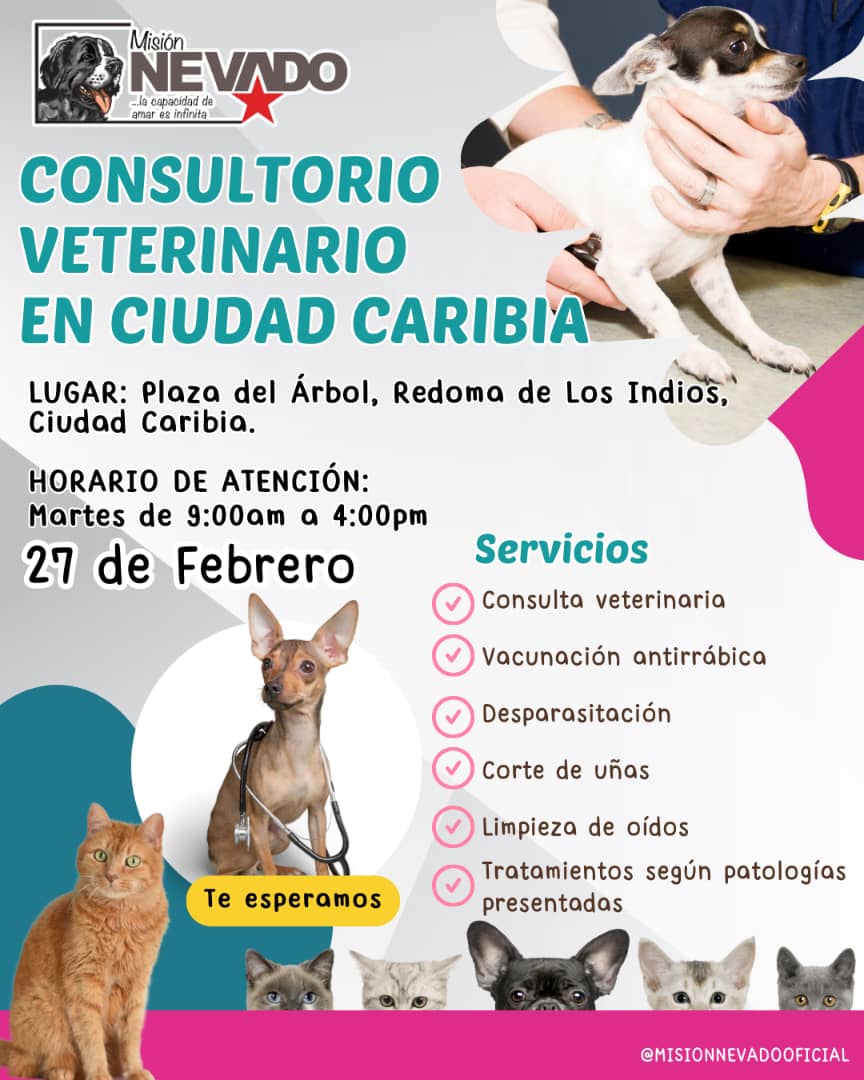 SomosNevado's tweet photo. 😎😁🐶📢 Atención #CiudadCaribia
Mañana #27Feb  estaremos en el Consultorio Veterinario en la #RedomaDeLosIndios  ofreciendo  #AtenciónVeterinariaIntegral🐈🐕
💚 Consulta veterinaria💚 Desparasitación
💚 Vacunación antirrábica💚 Corte de uñas  y Limpieza de oídos. https://t.co/lZZS2cLRp4