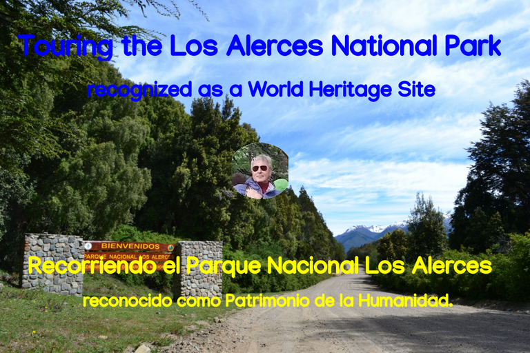 belmaxhugo's tweet photo. Recorriendo el Parque Nacional Los Alerces, reconocido como Patrimonio de la Humanidad. https://t.co/c8fmueUeS2 https://t.co/drdj7uleNR