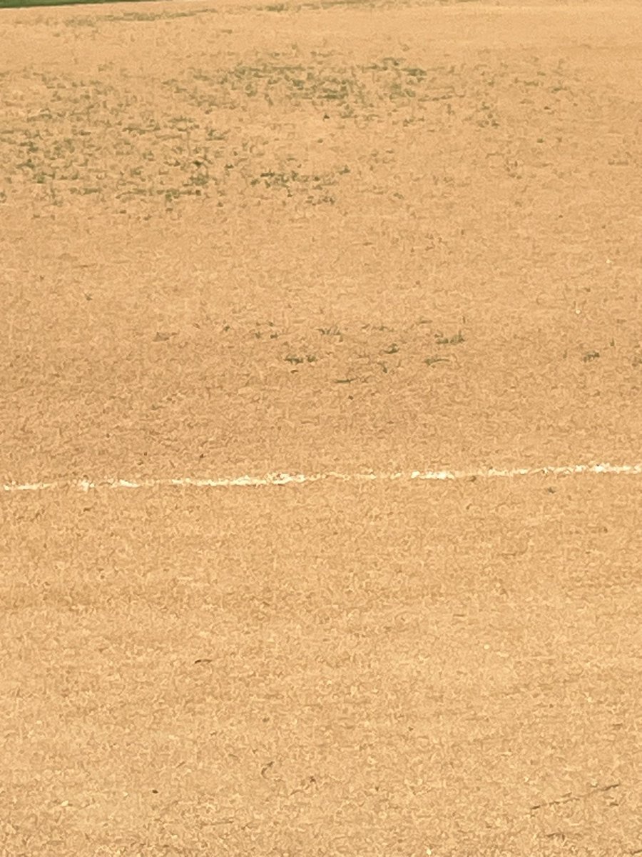 What gets rid of weeds in the infield?...
#TWFI