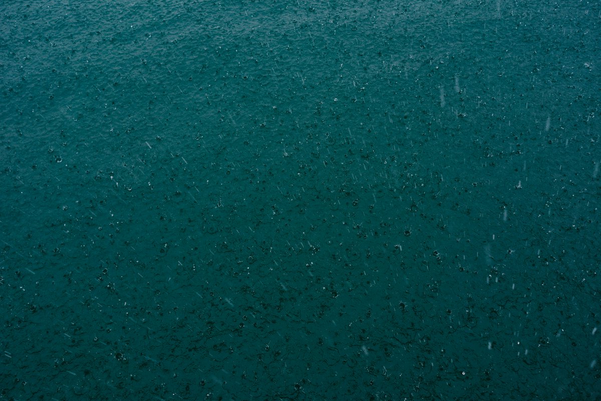 As the stormy weather continues here in California, something to keep in mind (not just in CA, but everywhere!): storm drains lead to the ocean! It might seem simple, but an easy eco-friendly action is simply making sure to keep trash out of these drains!

📸riis riiiis