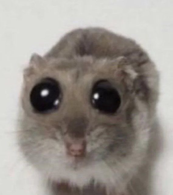 Cata 양🧚‍♀️ tweet media