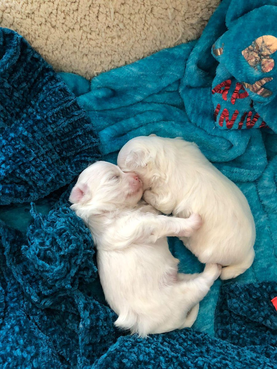 Muero de amor 🥹😭