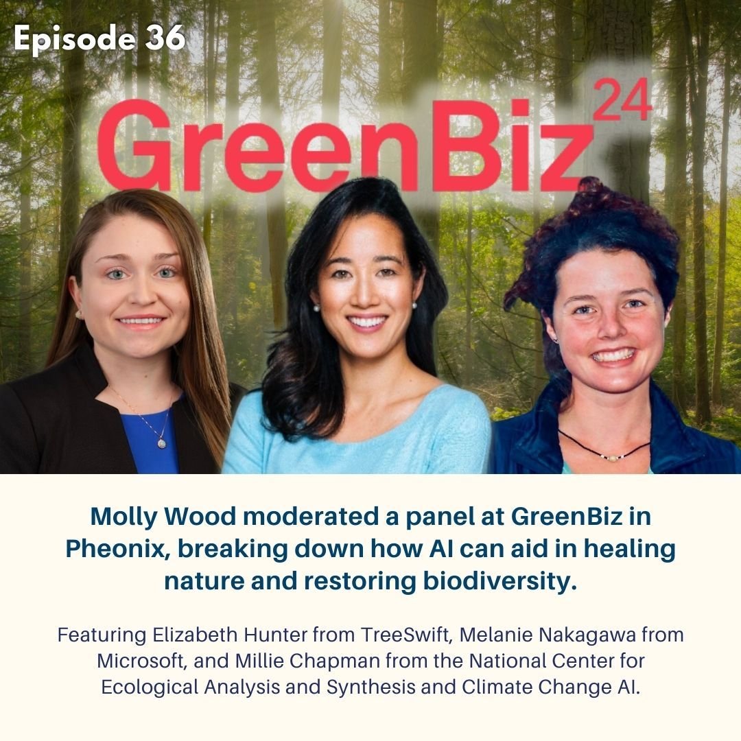 🤖🌳 Last week, we shared a panel discussion on how AI can help with efforts to heal nature and restore biodiversity moderated by @mollywood at @GreenBiz, with @elizehunter of @TreeswiftTech, @melnakagawa of @Microsoft, and @milliechapman @ucsb_nceas! 👇 everybodyinthepool.com/episodes/episo…