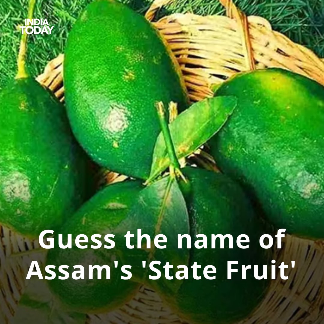 Can you guess the name of Assam's 'State Fruit'?🤔🍋
Let's meet at 9 PM for the answer 👍

#ITYourspace #Yourspace #TalkToUs #Assam