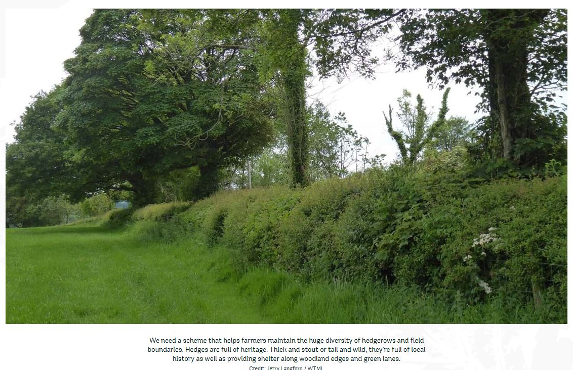 #OurTenAsks is #HedgesAndEdges in more detail

woodlandtrust.org.uk/protecting-tre…
9/