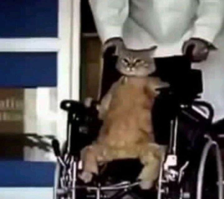 da ate um desânimo cair de adc e o suporte ser um Pyke vei, fds que ele divide o ouro quando pega kill, qual a graça de pegar ad carry e só ficar dando assistência, NOJO DESSE BONECO