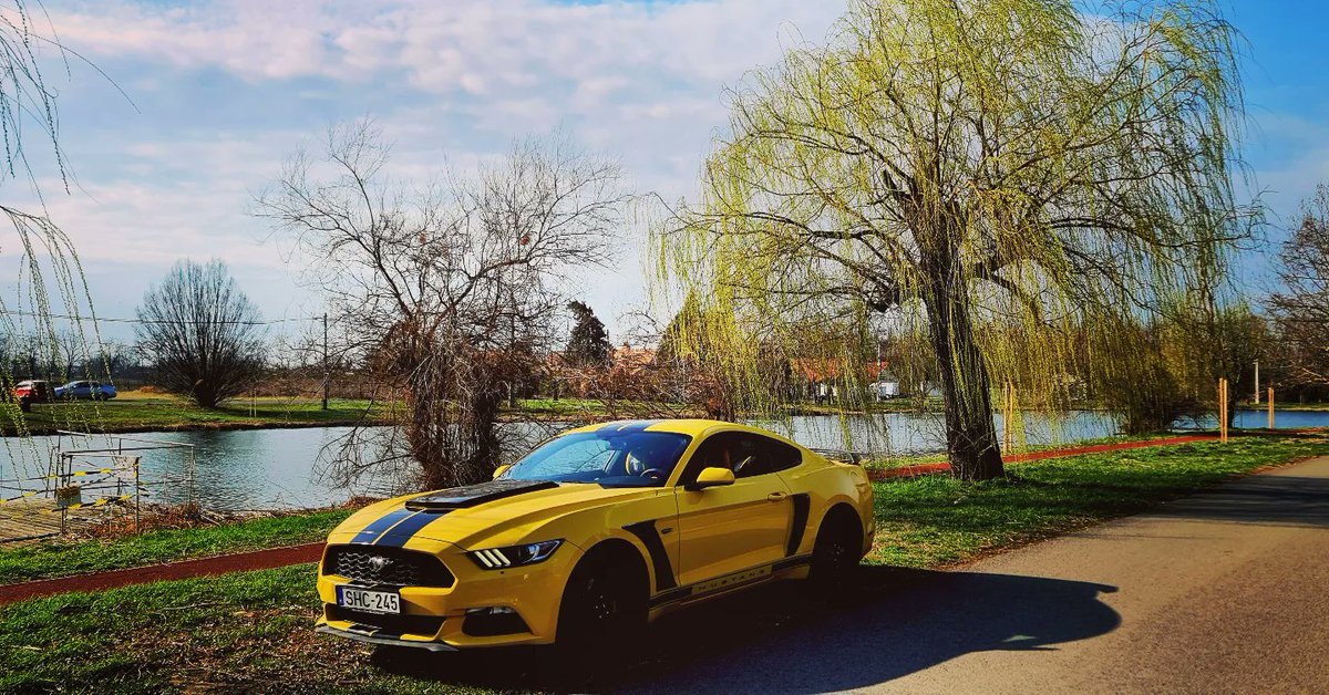 Spring is here! 20°C and sunshine.
#february #afternoon #myphoto #mycar #Mustang #FordMustang #musclecar #nature #springtime #spring #endofwinter