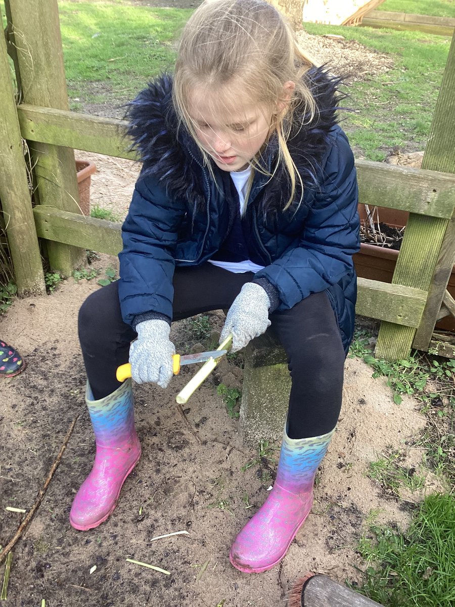 Louise Prewett tweet media