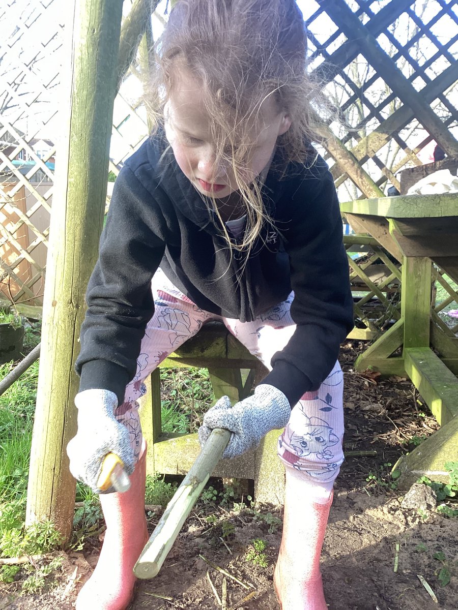 Louise Prewett tweet media