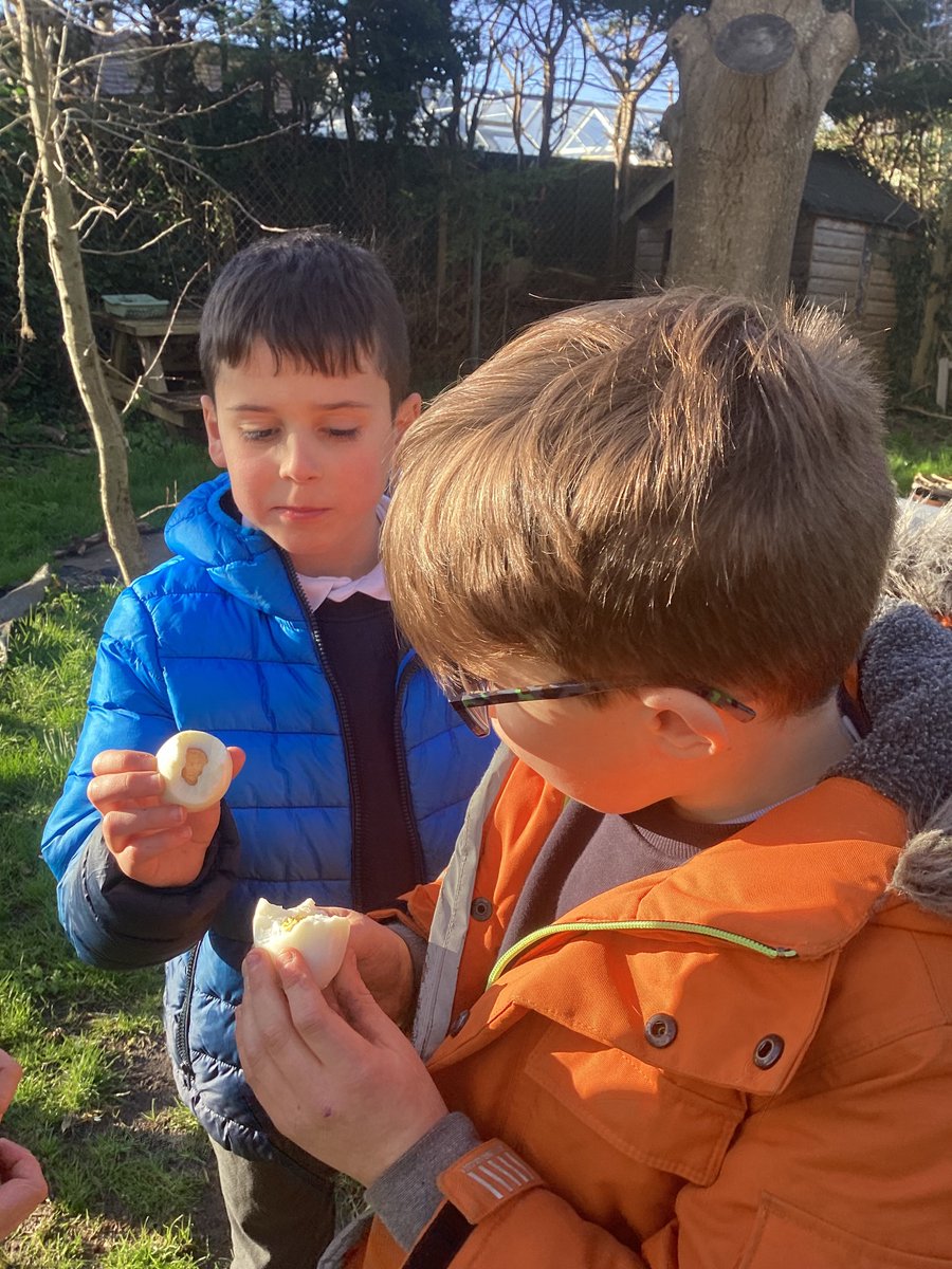 Louise Prewett tweet media