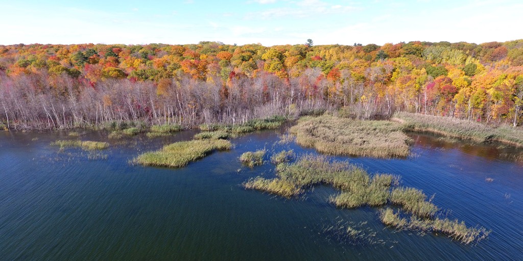 CdnRivers's tweet photo. It’s Invasive Species Awareness Week!

Every day this week, we’ll quiz you on one of the 4 steps for invasive species management:
1-Prevention
2-Early detection
3-Responding
4-Control and management

Stay tuned!

📷 Invasive Common Reed, @ParksCanada
#CHRS #HeritageRivers https://t.co/pT7Bmi8Shf