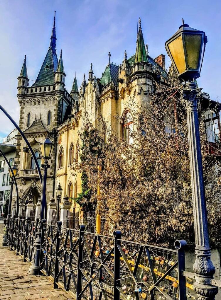 kosicednes's tweet image. 💚 Košice

📸 Božena Filipová

#kosicednes #kosice instagr.am/p/C30eo66tpNy/