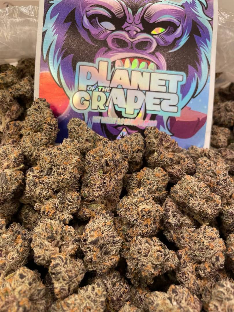 weed plug420 (@ZeddimaA) / Posts / X