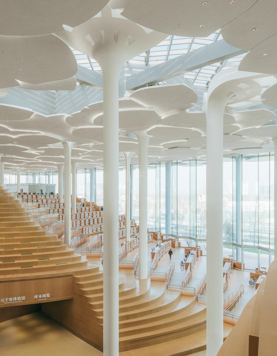 arquitect_viva's tweet photo. Inaugurada la nueva Biblioteca de la ciudad de Pekín.
Snøhetta
https://t.co/c4QQBwRWwS
Con una altura de 22 metros, el edificio jerarquiza los espacios mediante una topografía artificial, que oculta el resto del programa funcional. La sala principal está definida por un ‘bosque’ de esbeltas columnas de color blanco, que sostiene una cubierta con paneles planos superpuestos, cuyas formas están inspiradas en las hojas en abanico del ginkgo...