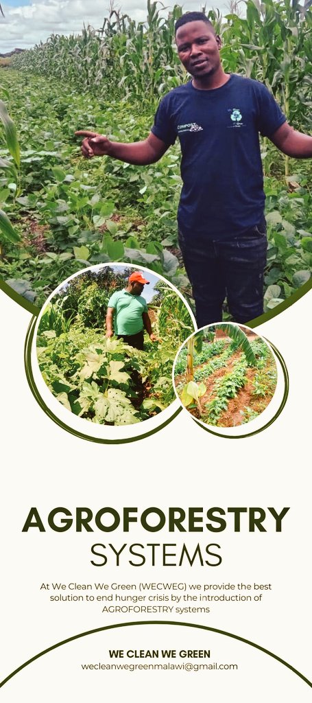VMthuzi's tweet photo. @Greenisamissio1 @littlefishDAO @WeCleanWeGreen https://t.co/tvVqtGuDDk