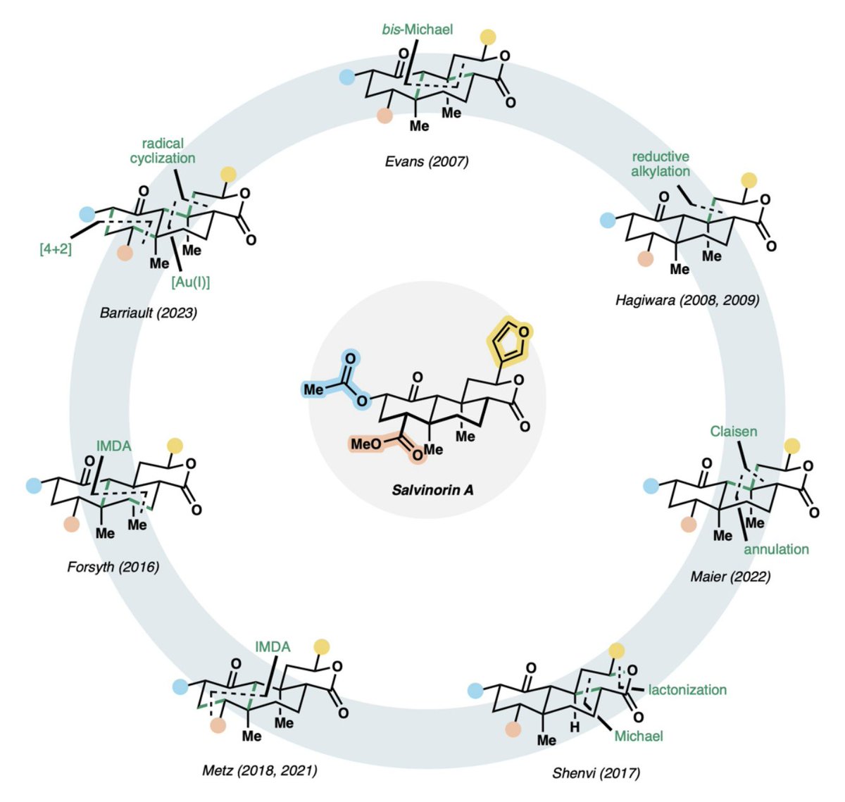 I’m proud to share my first, first author publication, out now in @ChemCatChem, An Overview of Syntheses of Salvinorin A and its Analogues! Check it out here: …mistry-europe.onlinelibrary.wiley.com/doi/10.1002/cc…