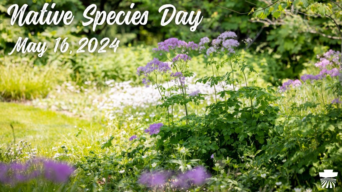 Mark your calendars! 📅

The Pennsylvania Governor's Invasive Species Council and partners around the state will celebrate the third annual Pennsylvania Native Species Day on Thursday, May 16.

Learn more: bit.ly/3UHJSpW
