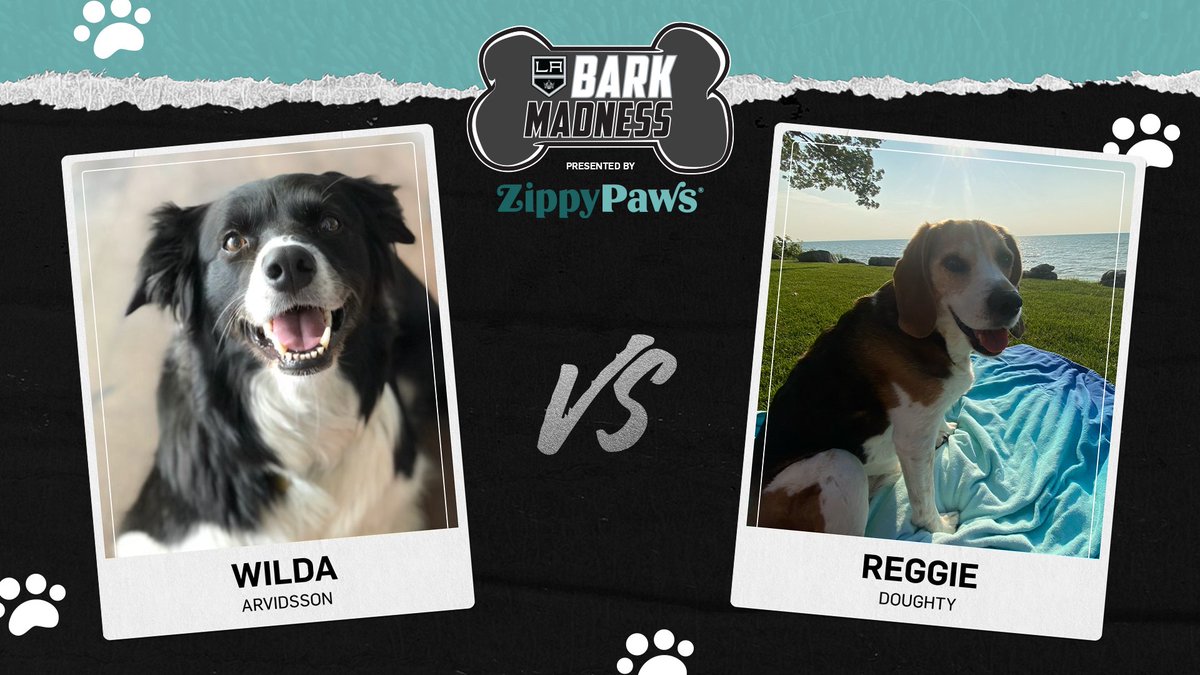 ROUND ✌️ IS ON 🐾

VOTE 📲 lakings.com/barkmadness 

Pres. by @ZippyPaws!