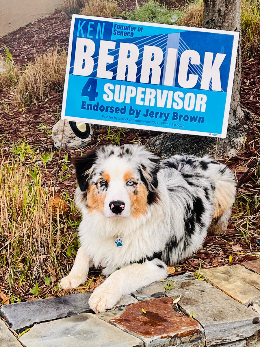 KenBerrick's tweet photo. 📷 Breaking News: Furry Political Pundit Speaks Out! 📷
"This lawn isn't just for digging holes; it's for making a statement! And that statement is simple: VOTE for Ken Berrick! - He is the most qualified candidate for Alameda County Supervisor, District 5!" https://t.co/QEdVdaPpyR