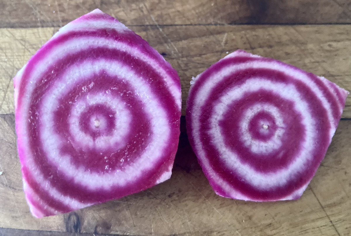 tablesstick's tweet photo. @NCETM Wasn’t expecting this today when I chopped into a beetroot!!! Beautiful concentric circles - almost looks like tie-dye! #MathsInNature https://t.co/O0OjAjQiEF