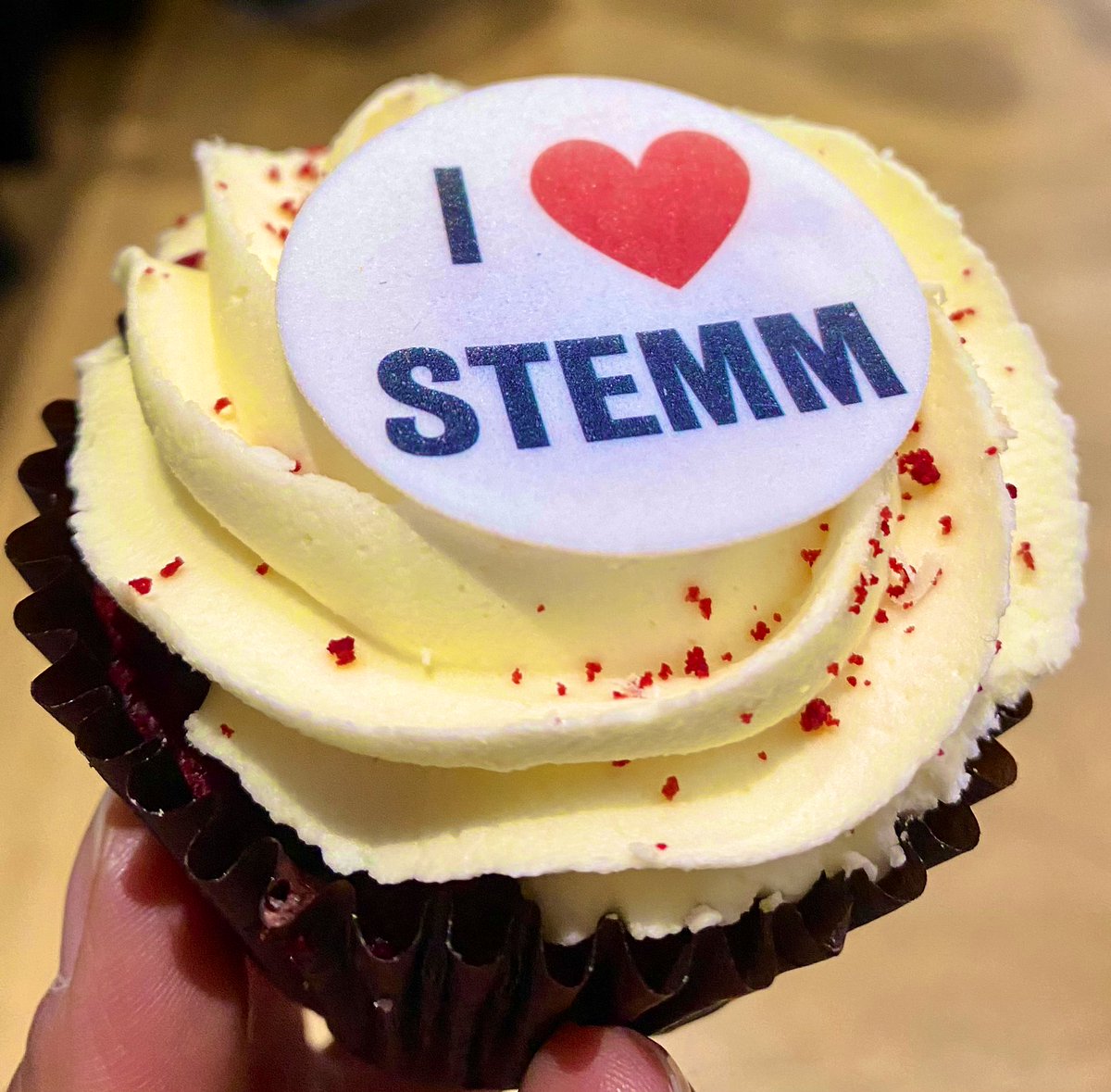 👩🏻‍🔬 Fantastic panel discussion by #KCLWomenInSTEMM, covering topics from #Mentorship to #ResearchCulture to #ImposterSyndrome

👏🏼 Thank you to the speakers for sharing their experiences and insights 

🧁 Also featuring some very cute #STEMM cupcakes!

@kingsmedicine @KingsNMES
